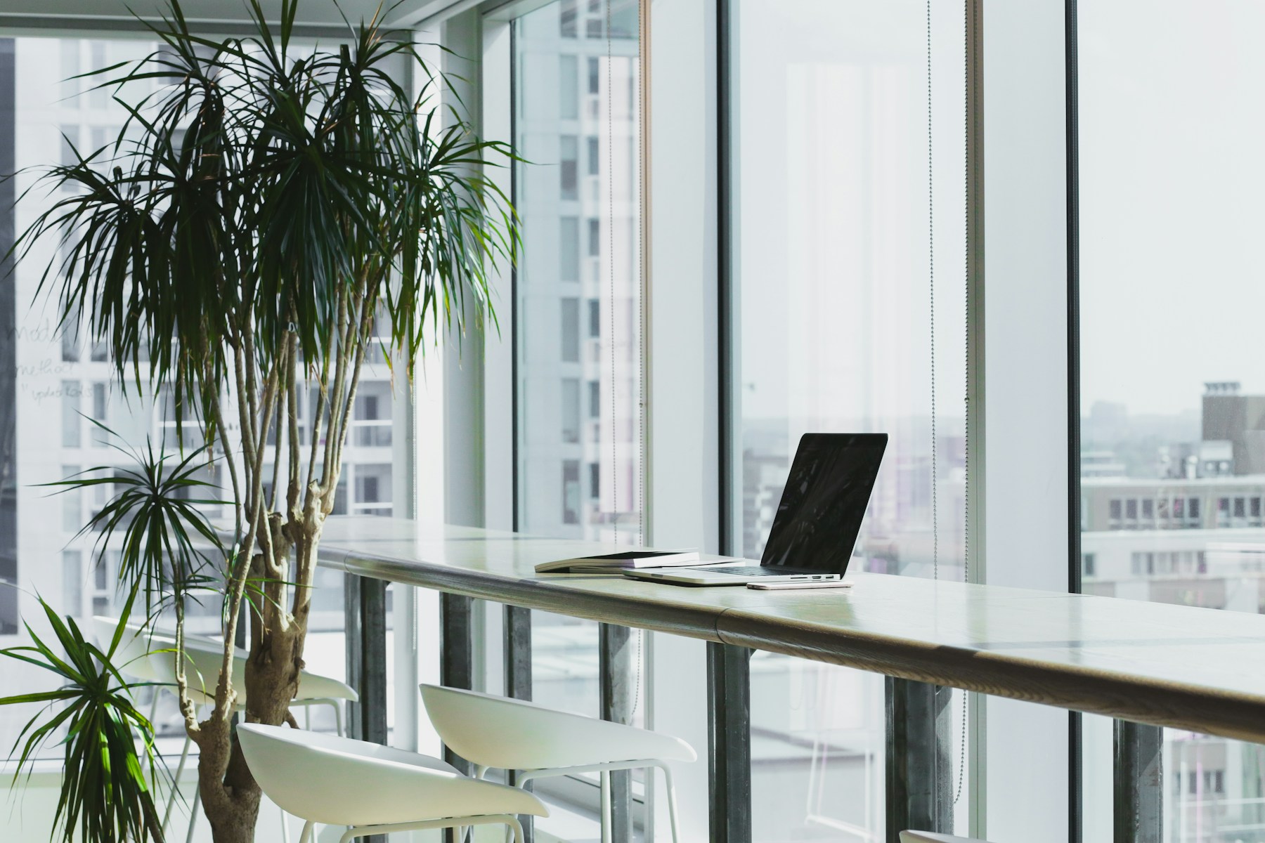 An illustrative creative workspace with natural light and greenery